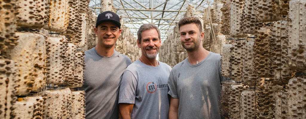 Three men stand together in a greenhouse, surrounded by hanging logs used for organic turkey tail mushroom cultivation. They are smiling and wearing casual clothing, including t-shirts and a baseball cap. Skye Chilton, Adam Chilton, Bill Chioffi at a mushroom farm cultivation facility for Nammex in China