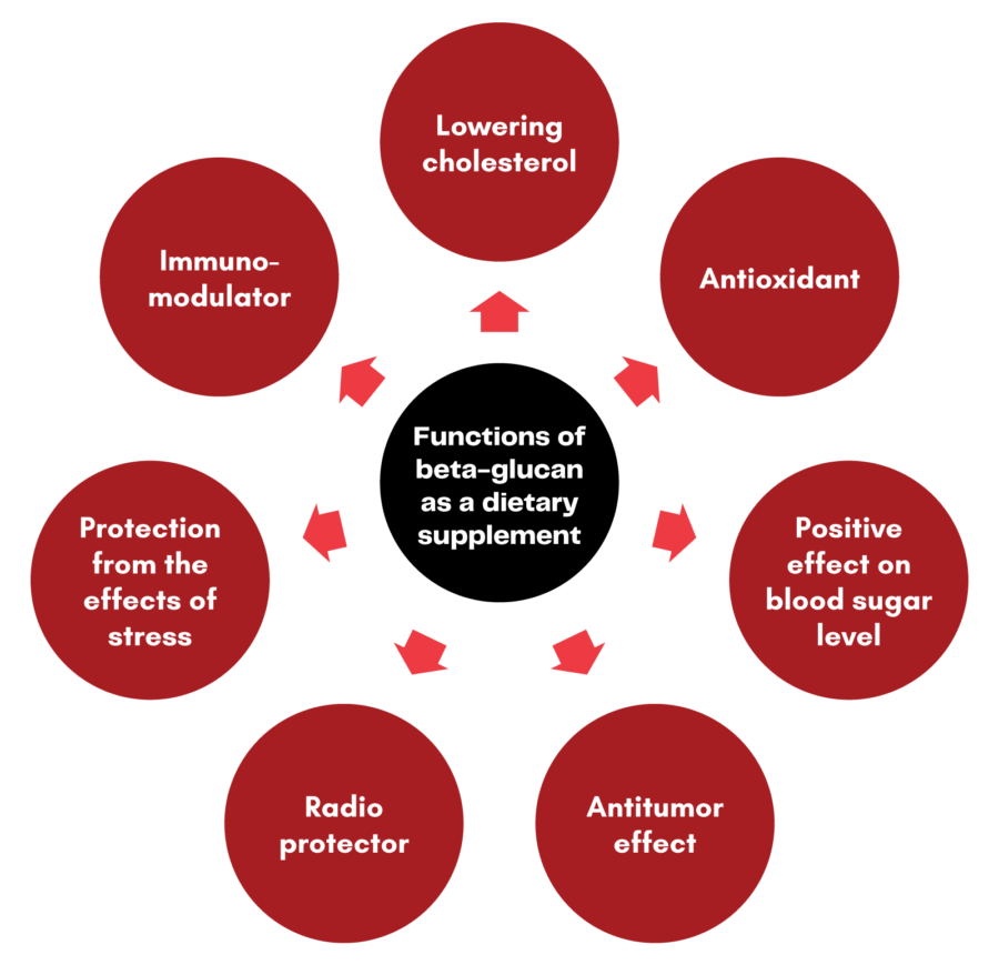 Diagram illustrating the functions of beta-glucan, a compound found in mushrooms and dietary supplements. It aids in digesting while offering benefits like lowering cholesterol, antioxidant properties, blood sugar regulation, antitumor effects, stress protection, immunomodulation, and radio protection.