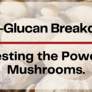 Beta-Glucan Breakdown | Digesting the Power of Mushrooms nammex