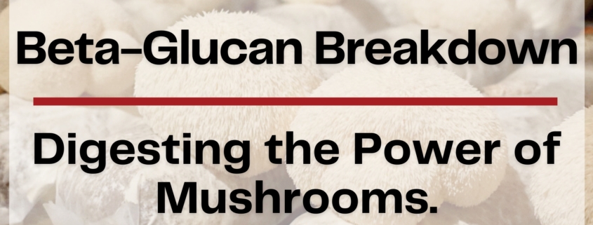 Beta-Glucan Breakdown | Digesting the Power of Mushrooms nammex